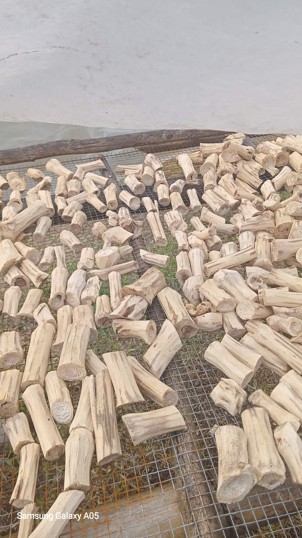 Northern Islands Kava  — Wholesale Kava Stems