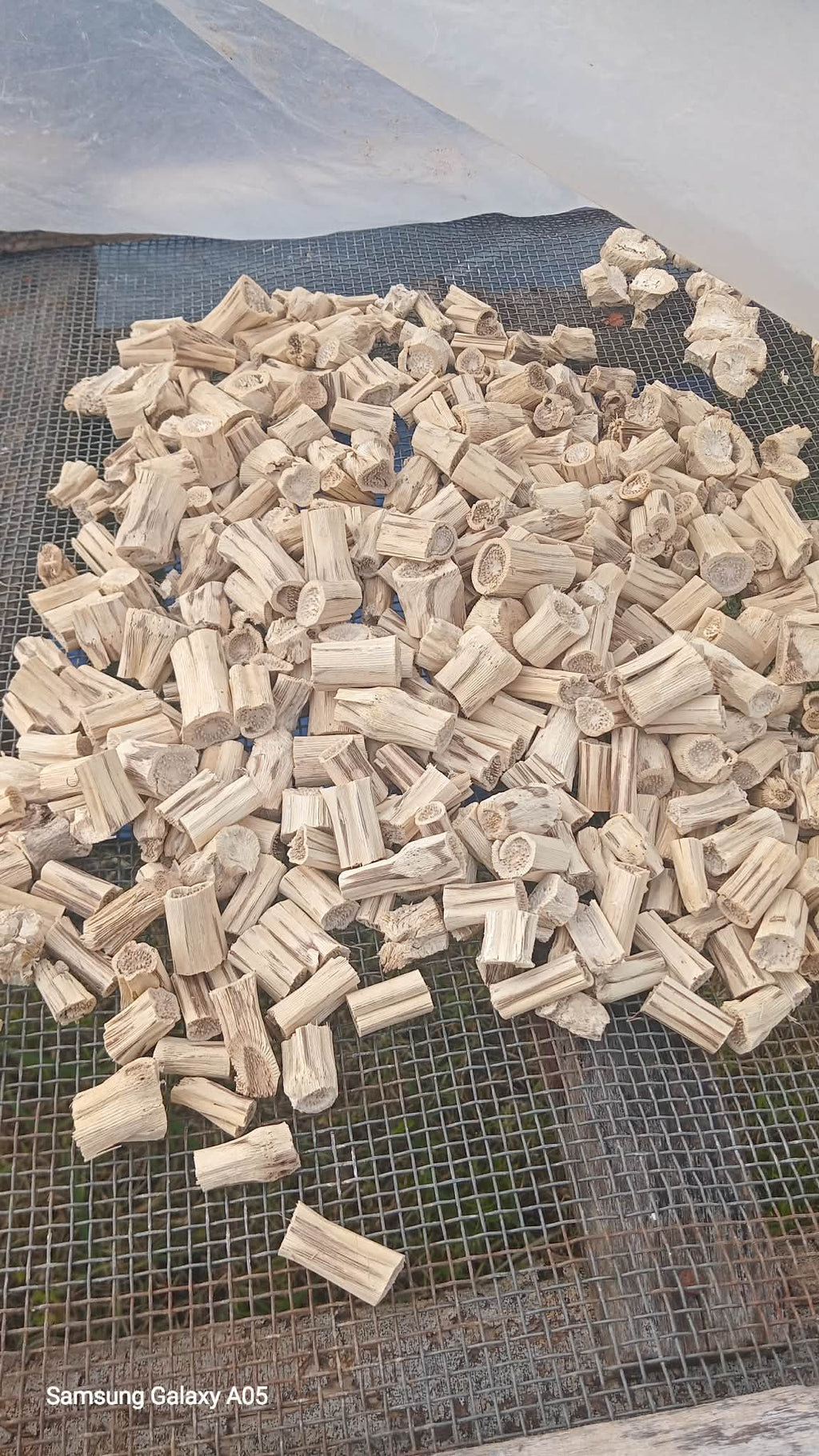 Northern Islands Kava  — Wholesale Kava Stems