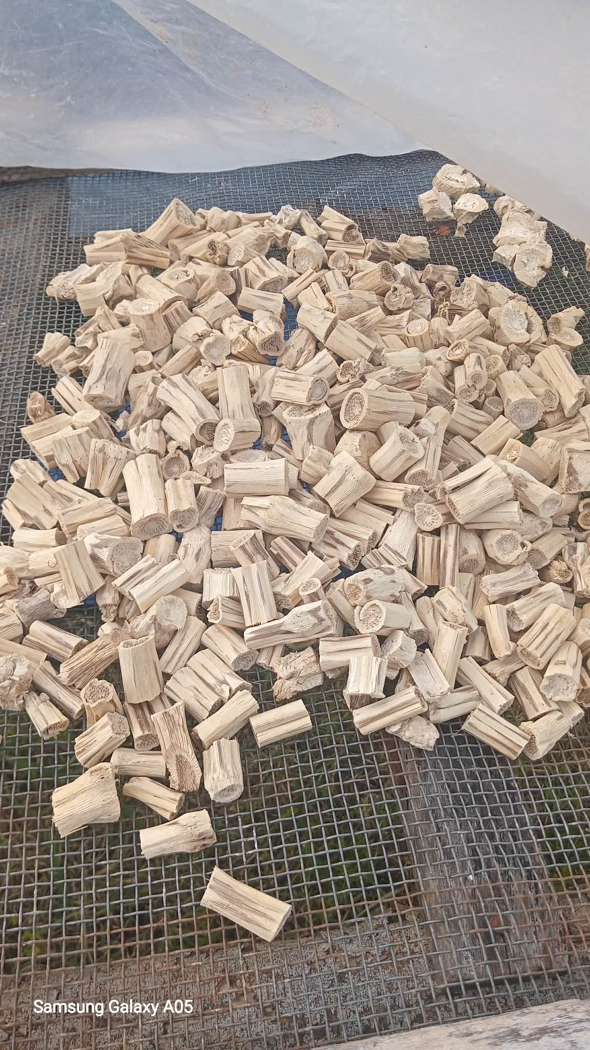 Northern Islands Kava  — Wholesale Kava Stems