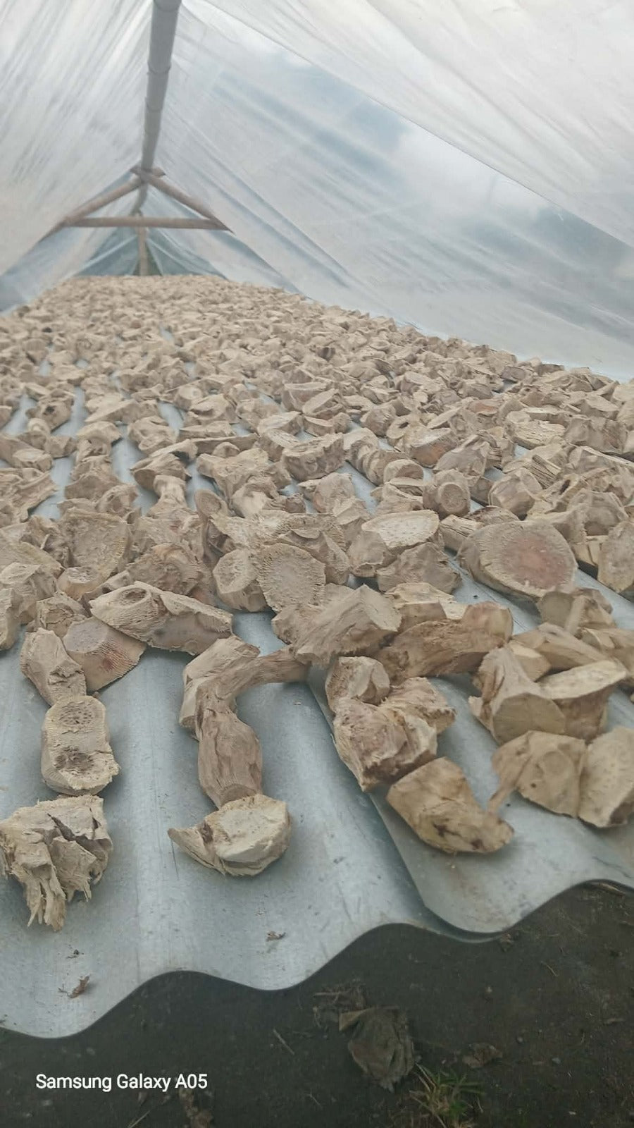 Northern Islands Kava — Premium Wholesale Kava Chips