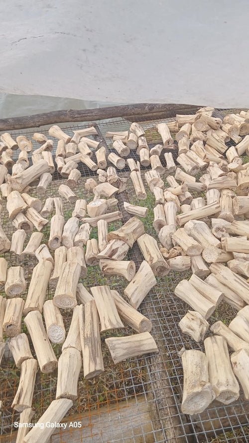 Northern Islands Kava  — Wholesale Kava Stems