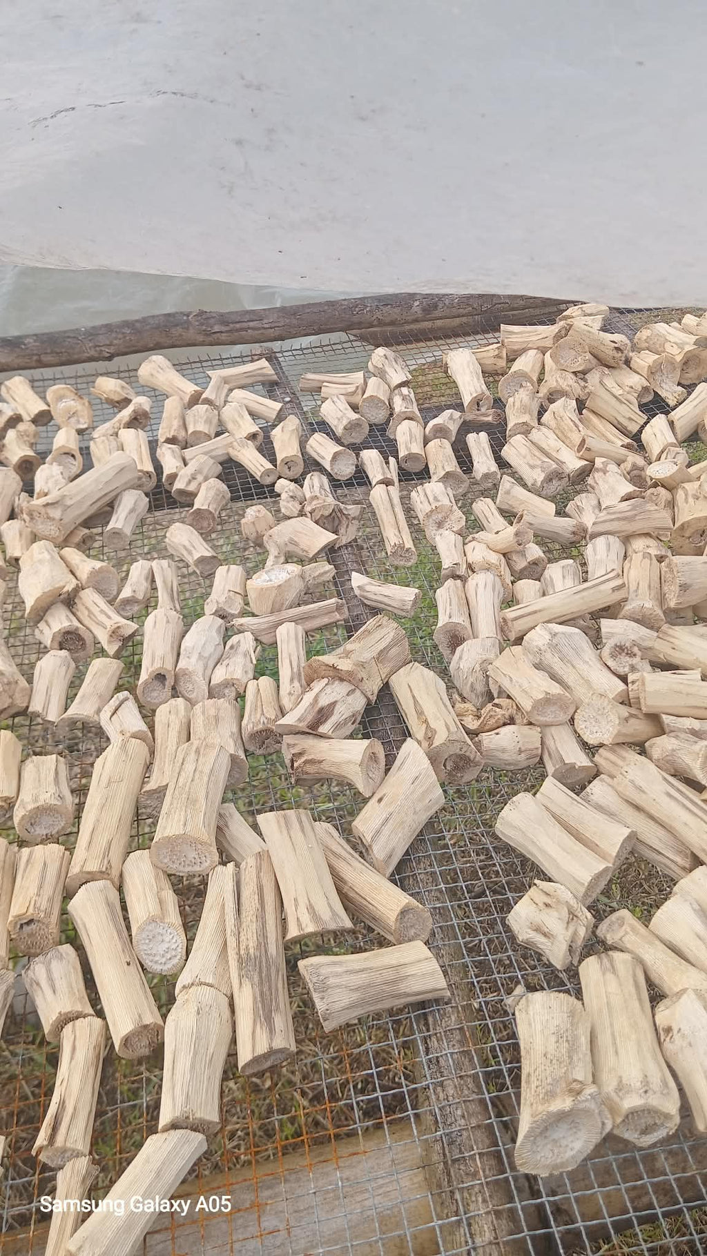 Northern Islands Kava  — Wholesale Kava Stems
