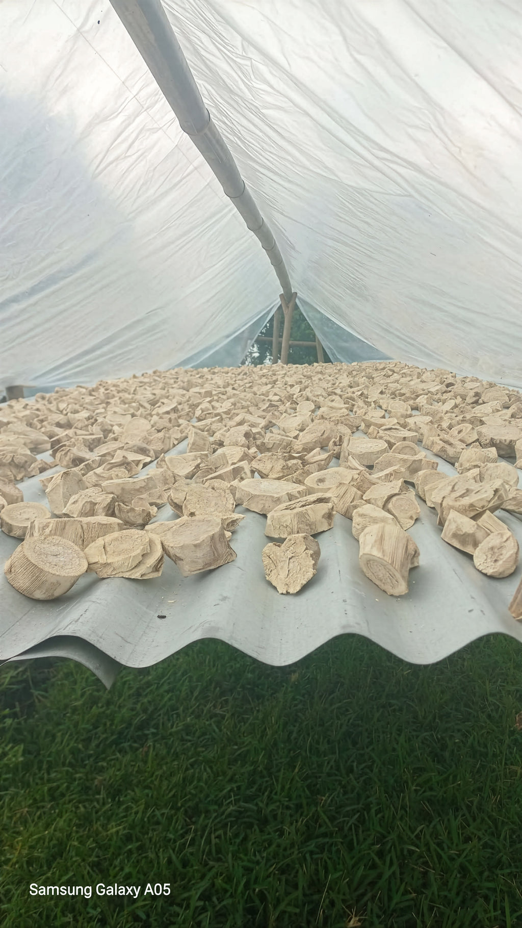 Northern Islands Kava — Premium Wholesale Kava Chips